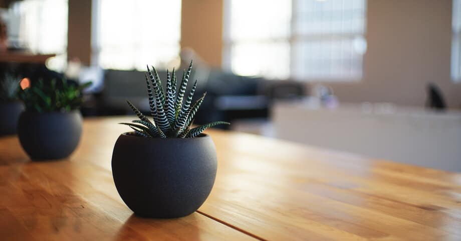 5 idées de déco de bureau pour améliorer la productivité